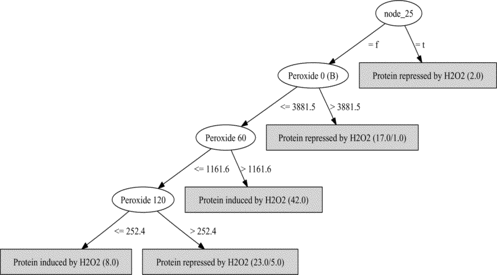 FIGURE 8 A decision tree for protein induction repression learned with gene ontology features. Ovals are attribute tests (“Peroxide t” means microarray data at time t), classifications are at leaves. See text for details.