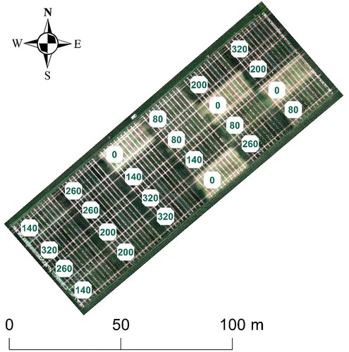 Figure 2. A field trial orthomosaic example from the unmanned aerial vehicle (UAV) sensor in Brantevik, on sensing date June 18, 2020. The different nitrogen (N) treatments are displayed in the trial blocks.