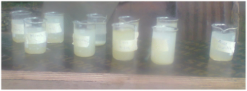 Figure 2. Beakers of sullage immediately after stirring.