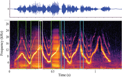Figure 6. An example of dolphin 2’s signature whistle contour depicted as a waveform (top panel with relative energy over time) and spectrogram on the bottom panel (time (s) on the x-axis and frequency in kilohertz on the y-axis). The boxed sections highlight the multiple types of NLP emitted over the course of the whistle; clicks and burst pulse (green boxes) sidebands (white box) and deterministic chaos (blue boxes).