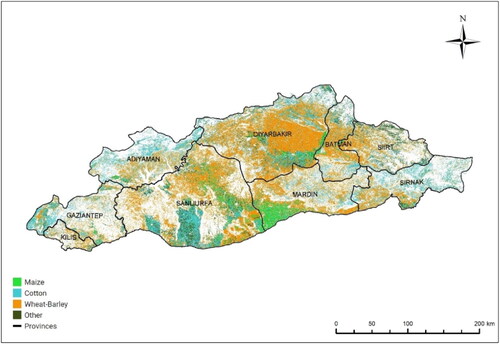 Figure 5. Crop-type map of the study area.