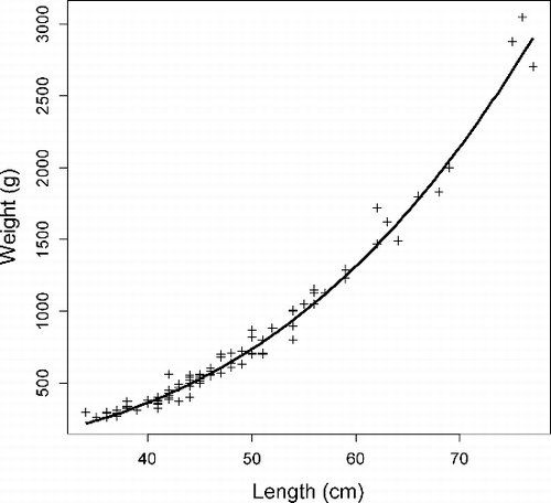 Figure 1. Length–weight-relationship of marked adult pike stocked to Lake Savijärvi in May 2008.