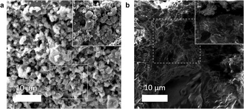 Figure 3. Morphology change of sample 3 (a) before and (b) after degradation in an inert pyrolyzed condition.