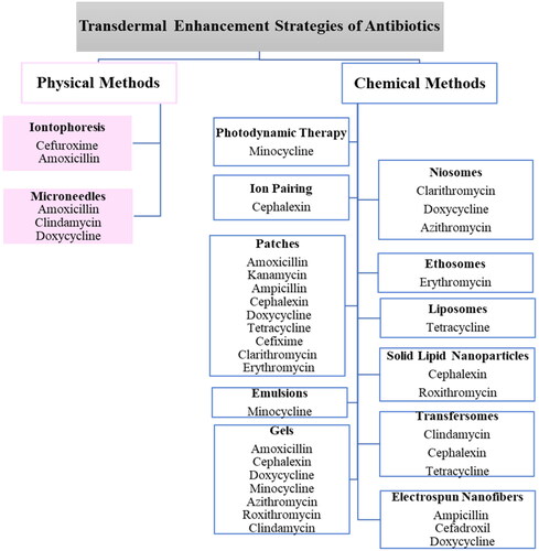 Figure 2. Schematic representation that summarizes the recent approaches for enhancing transdermal delivery of antibiotics.