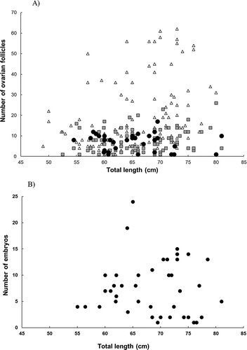 FIGURE 7. Fecundity relationships in female Giant Electric Ray. (A) Total length (cm) and number of ovarian follicles by group (triangle = small, square = medium, and circle = large) and (B) TL (cm) and number of embryos by female.