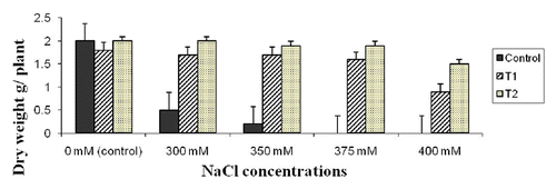 Figure 7. Plant dry weight of two wheat transgenic lines compared with the control (non-transgenic) under different NaCl concentrations. Data are averages of three replication ± SE