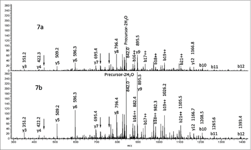 Figure 7. Comparison of the MS/MS spectra of peaks 1c in Figure 6. Figure 7a corresponds to peak 1c in Figure 6a and Figure 7b corresponds to peak 1c in Figure 6b.