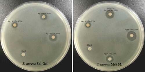 Figure 5. Antibacterial activity of LDPE/Ag/TiO2 against S. aureus.