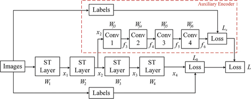 Figure 3. Illustration of the dual-encoder architecture of the WISTE. The auxiliary encoder branch is indicated by a dashed red box. ST denotes the Swin Transformer; Wi represents the matrices for each computational block; xi denotes the intermediate layer outputs; and Li signifies the loss function of the corresponding branch.