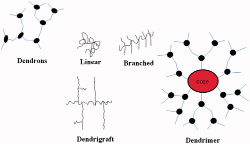 Figure 2. Terms and nomenclature in dendrimer chemistry.