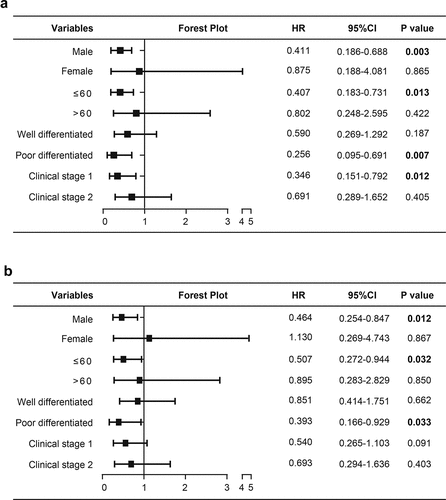 Figure 4. Subgroup analysis of the prognostic values of SLC39A1 in EHCC patients. (a) Subgroup analysis of the prognostic values for OS of SLC39A1 in EHCC patients. Downregulated SLC39A1 was correlated with OS in male patients and patients with young age, poor differentiated tumor and clinical stage 1. (b) Subgroup analysis of the prognostic values for RFS of SLC39A1 in EHCC patients. Downregulated SLC39A1 was associated with RFS in male patients and patients with young age and poor differentiated tumor