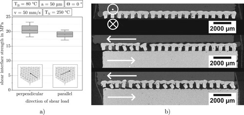 Figure 15. Results of shear tests on covered pins interlocking structure. (a) The whiskers of the box plot show the range from minimal to maximal measured value. A circle visualises the average and a line the median of the respective data. (b) Slice images of damaged specimens. The upper image shows the PLA half of a perpendicular loaded specimen. The interlocking structure is still located in the PLA and the pins fractured at their base. The middle and lower images show a specimen loaded parallel to covered pins structure. The lower image shows a covered line from the inner area of the specimen. The induced bending load lead to a fracture of the pins at the base. The middle image shows a covered line at the edge of the specimen. Here only a part of the interlocking structure fractured.
