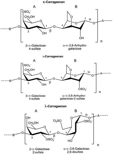 Figure 1. Structural formulas of κ-, ι- and λ-CGN. The names κ-, ι- and λ-CGN do not reflect definitive chemical structures but only general differences in the composition and degree of sulfation at specific locations in the polymer (EFSA Citation2018a, reused with permission from EFSA).