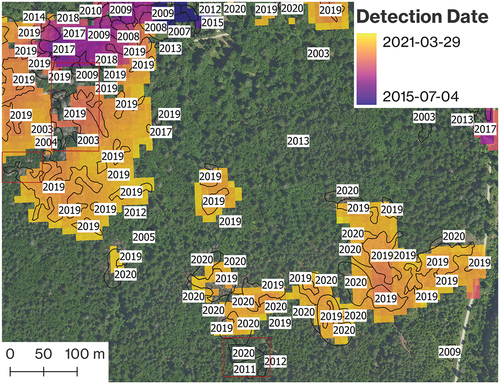 Figure 15. Subset of the infestation map for an area in the northwest region of the BFNP. Polygons represent the disturbance patches in the reference data, labeled according to the infestation year in each one. The three red rectangles delineate areas that were not successfully detected. The satellite-based assessment agreed well with the ground data.