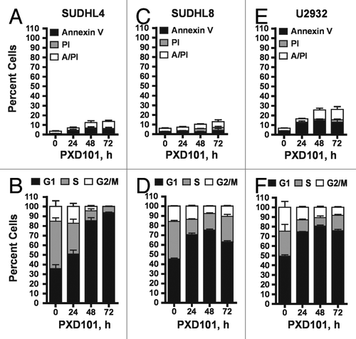 Figure 2. The cytostatic response to PXD101. SUDHL4 (A and B), SUDHL8 (C and D), and U2932 (E and F) cells were treated with PXD101 at the IC50 concentrations determined for each as shown in Table 1. At 0, 24, 48, and 72 h treatment cells were harvested and subjected to Annexin V/PI assay (A, C, and E) or cell cycle analysis (B, D, and F). The graphs shown represent the results of 3–4 independent experiments. Error bars represent SEM.