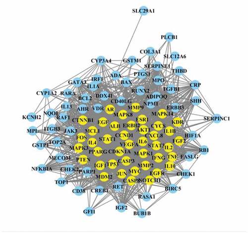 Figure 5. Protein–protein interaction (PPI) network of identified major targets. Light blue nodes were regular targets while yellow nodes were major targets