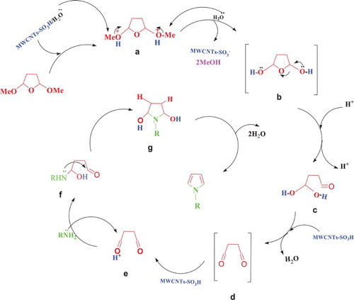 Scheme 3. Plausible reaction mechanism for the preparation of N-aryl pyrroles.