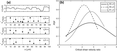 Figure 10. (a) Predicted values of critical shear velocity ratio for detachment of 22, 30, and 41 µm particles as a function of location on the rough surface. (b) Variations of normal probability distribution of critical shear velocity ratio, uc*,Ratio, for detachment of 22, 30, and 41 µm glass particles from a stainless-steel substrate. Here, the normal distribution is assumed.