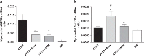 Figure 3. Bar graphs showing the effects of the 8-week resveratrol and nicotinamide treatments on myocardial ANP mRNA expression (a), and SIRT1 mRNA expression (b). For abbreviations, see Means±SEM are given, n=6–17 in each group. *p<0.05 compared with dTGR; ¤p<0.05 compared with dTGR+Resveratrol; #p<0.05 compared with SD.
