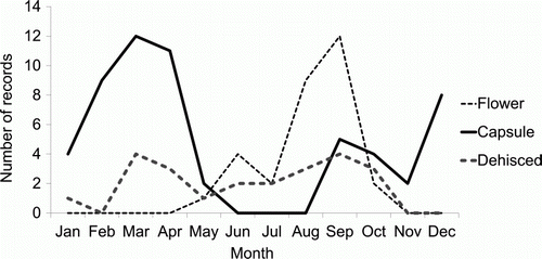 Figure 5  Phenology calendar for Pittosporum cornifolium based on North Island field survey, AK, WAIK, NZFRI and CHR herbarium data, NVS and LENZ data banks and unpublished observations (n=105).