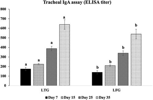Figure 3. Local (IgA) immune modulation in both groups. Different letters above the bars indicate statistically significant difference between groups at p value below 0.05.