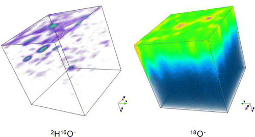 Figure 7. False colour 3D maps of the 2H16O− and 18O− ion intensities in the central 150 × 150 microns of the analysed area for sample 2.