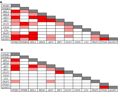 Figure 4 Pearson correlations among inflammation-related gene expression levels in 39 CVD patients (A) and in 91 controls (B). Correlations with p-values < 0.001 and r values > 0.7 (light red: 0.7 < r < 0.8; dark red: r ≥ 0.8) are presented.