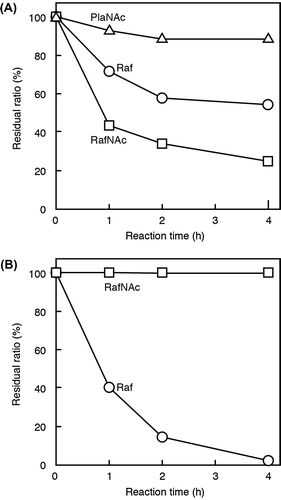 Fig. 5. Hydrolysis of Raf, RafNAc, and PlaNAc by green coffee bean α-galactosidase (A) or S. cerevisiae invertase (B).