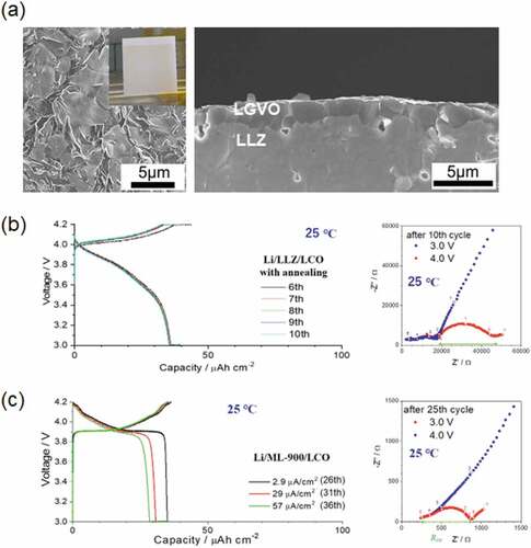 Figure 6. (a) (Left) Surface and (right) cross-sectional SEM images of LGVO-coated LLZ substrates. (b) (Left) charge–discharge curves of Li/LLZ/LCO at 25°C (LLZ/LCO was annealed at 700°C). (Right) Nyquist plots of Li/LLZ/LCO at 25°C measured at 3.0 V (blue) and 4.0 V (red). (c) (Left) charge–discharge curves of Li/LLZ/LGVO/LCO at 25°C (LLZ/LGVO/LCO stack was annealed at 700°C). (Right) Nyquist plots of Li/LLZ/LGVO/LCO at 25°C measured at 3.0 V (blue) and 4.0 V (red) (Reprinted from[42] with Copyright 2022 American Chemical Society).