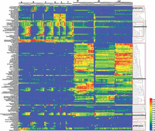 Figure 2. Evolution of volatile compounds during Msalais wine production based on the normalization data matrix of the determined peak area