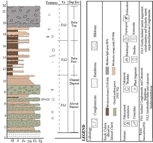 Figure 4. Stratigraphic section of the Msata succession showing features, facies association and depositional environment adapted from Kabohola (Citation2017).