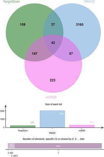 Figure 3 Venn diagram of mRNAs included in the TargetScan, RNA22, miRDBnetwork; the green area shows the number of mRNAs targeted by TargetScan; the blue area shows the number of mRNAs targeted by RNA22; and the pink area shows the number of mRNAs targeted by miRDB. The area in the middle indicates the number of mRNAs included in the TargetScan, RNA22, and miRDBnetwork.