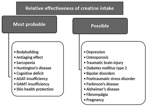 Figure 2. The relative effectiveness of the therapeutic and preventive use of creatine in various diseases, metabolic disorders and body conditions.