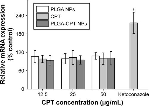 Figure 5 Effect of NPs on CYP3A4 mRNA expression.Note: *P<0.05.Abbreviations: CYP3A4, cytochrome P450 enzyme; NP, nanoparticle; PLGA-CPT, camptothecin-encapsulated poly(lactic-co-glycolic acid).