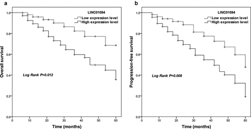Figure 2. Survival estimates were calculated by Kaplan-Meier analysis and compared with the log-rank test for LINC01094 in colorectal cancer. (a). Patients with high LINC01094 expression had a shorter overall survival time than those with low LINC01094 levels. Log-rank test P = 0.012. (b). Patients with high LINC01094 expression represented a shorter progression-free survival time than those with low LINC01094 levels. Log-rank test P = 0.008.