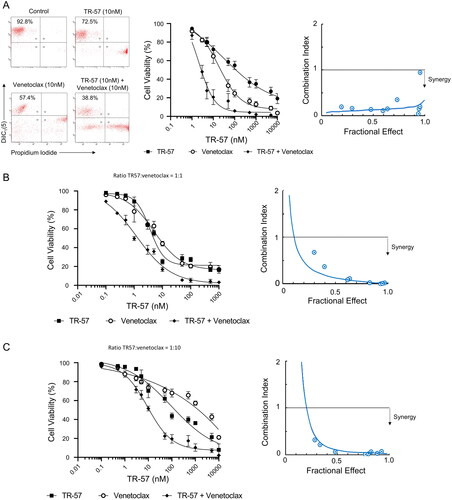 Figure 2. TR-57 and venetoclax are synergistic in their cytotoxic effects toward CLL cells.Cell viability was assessed by flow cytometry using DiIC1(5) and PI following treatment with TR-57 and venetoclax as single agents and in combination. Drugs were combined at fixed ratios based on IC50 values as single agents. Ratios of TR57: venetoclax were 1:1 for primary CLL cells (A) and the OSU-CLL cell line (B) and 1:10 for the OSU-CLLTP53ko line (C). Synergy was assessed by calculating CI at a range of fractional effects using the CompuSyn software. CI values of >1, 1, and <1 are indicative of antagonism, additivity and synergy, respectively. Dose-response analyses and assessment of synergy in (A) CLL patient samples (n = 15). Representative data from one CLL patient sample is shown. (B) OSU-CLL and (C) OSU-CLL-TP53ko cell lines. Error bars represent the standard deviation. Data in (B) and (C) are the mean of 3 biological replicates.