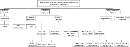 Figure 4. Promising Fe- or Mn-based technologies to remove pharmaceuticals.
