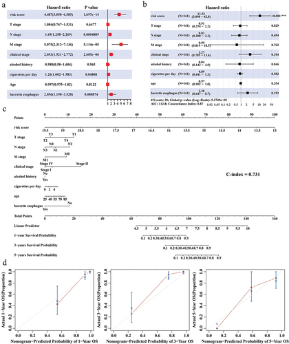 Figure 4. Independence of Nomogram and RiskScore. (a,b) Univariate COX and multivariate COX analyses integrating RiskScore, T stage, N stage, M stage, clinical stage, alcohol history, cigarettes per day, age, and Barrett's esophagus. (c) Nomogram predicting 1-, 3-, and 5-year survival in ESCC patients. (d) Calibration curves for Nomogram prediction of 1-, 3-, and 5-year survival and actual survival in ESCC patients.