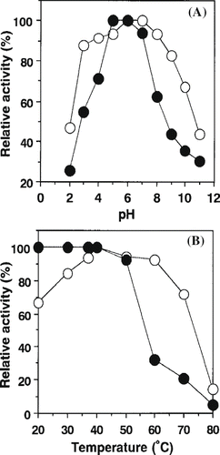 Figure 2 Effects of pH and temperature on activity and stability of amylase from persimmon honey. (A) For each pH, activity was measured as described under “Materials and Methods” and expressed as relative activity (○). The pH stability curve (•) represents the residual activity after a preincubation period of 1 day at the indicated pH. (B) Enzymatic activity was measured for each temperature (○). Thermal stability of the enzyme was incubated at different temperatures at pH 6.0 for 60 min. After cooling, the residual activity was measured (•).