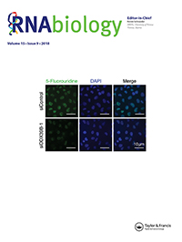 Cover image for RNA Biology, Volume 15, Issue 9, 2018