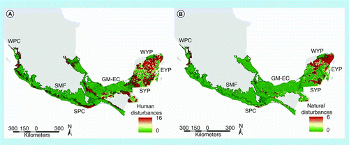 Figure 5.  Spatial distribution of human and natural disturbances, and aboveground living biomass. (A) Human disturbances; and (B) natural disturbances. Human disturbances scale: 0 = no disturbance to 16 = severe; natural disturbances scale: 0 = no disturbance to 6 = severe.EYP: East Yucatan Peninsula; GM-EC: The Gulf of Mexico and eastern Chiapas; SMF: Sierra Madre Foothills; SPC: South Pacific Coast; SYP: South Yucatan Peninsula; WPC: West Pacific Coast; WYP: West Yucatan Peninsula.