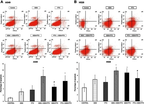 Figure 5 Apoptosis assay. Flow cytometry analysis of both cell line that treated with sequence drug GEM→GEM+PTX resulted in significance meaning. (A) A percentage apoptotic of A549 cell within group GEM→GEM+PTX and vice versa were greater than concurrent GEM+PTX. (B) In the case of H520 cell line, GEM→GEM+PTX and concurrent GEM+PTX produced a similar percentage of apoptotic. *P<0.05 compared with control; #not significant.