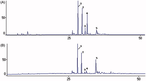 Figure 2. Chromatograms obtained by GC/MS for analysis of the chemical composition of essential oils of Glechon marifolia, before and after sunlight exposition. Note: Essential oil of G. marifolia before (A) and after (B) sunlight exposition. Peak 1 - β-caryophyllene; 2 – α-humuleme; 3 - Germacrene D; 4 – Bicyclogermacrene; 5 – Spathulenol.