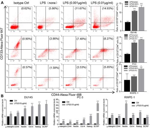 Figure 3 LPS promoted prostate cancer stemness. (A) The FACS assay was conducted to detect the CD44+CD133+ populations in LPS-induced DU145, PC3, RWPE-1 tumorospheres. A representative FACS result was presented (left panel). And the above FACS data were also presented as an average of three repeats (right figure). (B) The LPS-induced tumorospheres from DU145, PC3, RWPE-1 cells were harvested and total cellular RNA was extracted. The relative expression of cancer stem cell-associated genes of α-intergrin, CD44, Nestin, OCT-4, Nanog and BCRP were determined with qRT-PCR and normalized with GAPDH. (by comparing with control group, *p<0.05; **p<0.01; ***p<0.001).
