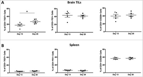 Figure 3. TIGIT expression is upregulated at later time-points in a tissue specific pattern. Flow analysis was performed on days 13 and 20 for brain TILs and spleens. A. TIGIT expression on CD3+ cells in the brain was significantly higher on day 20 than 13 (p = 0.0490). There was no significance between the two time-points for PD-1 or CD226 expression on brain CD3+ cells (p = 0.7432 and 0.6690 respectively). B. Expression of TIGIT, PD-1, and CD226 on spleen CD3+ cells remained the same across the two time-points (p = 0.1846, 0.2879, and 0.7560 respectively).