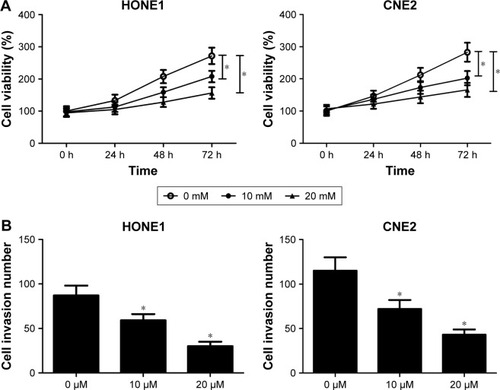 Figure 5 The Wnt/β-catenin signaling pathway inhibitor, XAV939, suppressed proliferation and invasion of nasopharyngeal carcinoma (NPC) cells. HONE1 and CNE2 cells were treated with different doses of XAV939 (0, 10, and 20 μM).