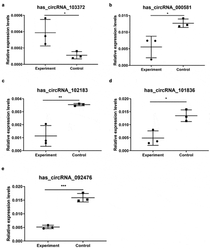 Figure 3. qRT-PCR validation of five selected circRNAs. (a) Relative expression levels of has_circRNA_103372. (b) Relative expression levels of has_circRNA_000581. (c) Relative expression levels of has_circRNA_102183. (d) Relative expression levels of has_circRNA_101836. (e) Relative expression levels of has_circRNA_092476. Compared with the control, rno_circRNA_000581/102,183/101,838/092476 were significantly downregulated. However, rno_circRNA_103372 was significantly upregulated. The data are normalized using the mean ± SEM (*P < 0.05; n = 6 per group)