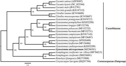 Figure 1. Phylogenetic tree based on 21 complete chloroplast genome sequences. The bootstrap values are indicated next to the branches. Accession numbers are listed together with each species.