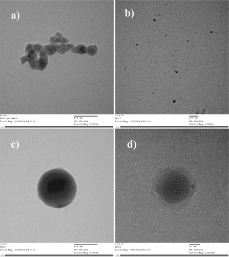 Figure 3 TEM images of a) PEGylated chitosan polymer (mag. 57,000×); b) chitosan–TPP nanoparticle (mag. 22,000×); c) PEGylated chitosan–TPP nanoparticle (mag. 57,000×) and d), PEGy lated chitosan-TPP nanoparticle (mag. 135000x).Abbreviation: TPP, sodium tripolyphosphate.