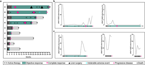 Figure 1. (a) Duration of study participation and efficacy assessment for the per-protocol BRAF-mutant population (experimental group (E), n = 3; control group (C), n = 6). Dynamics of plasma BRAF V600E DNA over the study treatment in (b) two experimental-group subjects and (c) three control-group subjects.